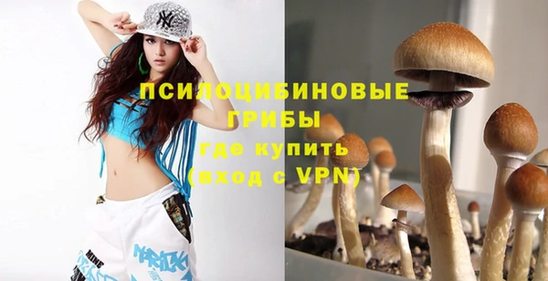 бошки Алзамай