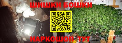 спайс Берёзовский