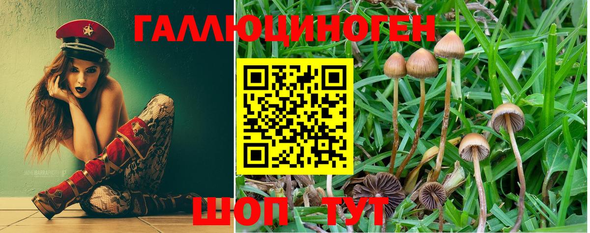 Волгоград  Псилоцибиновые грибы Magic Shrooms  Вход с VPN 