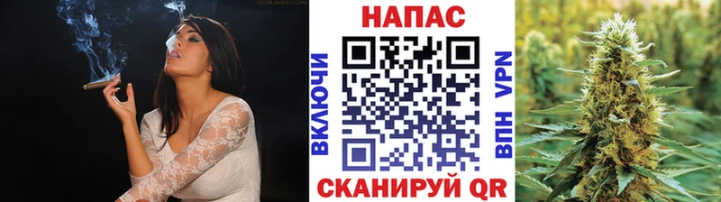 Шишки марихуана MAZAR  Волгоград 